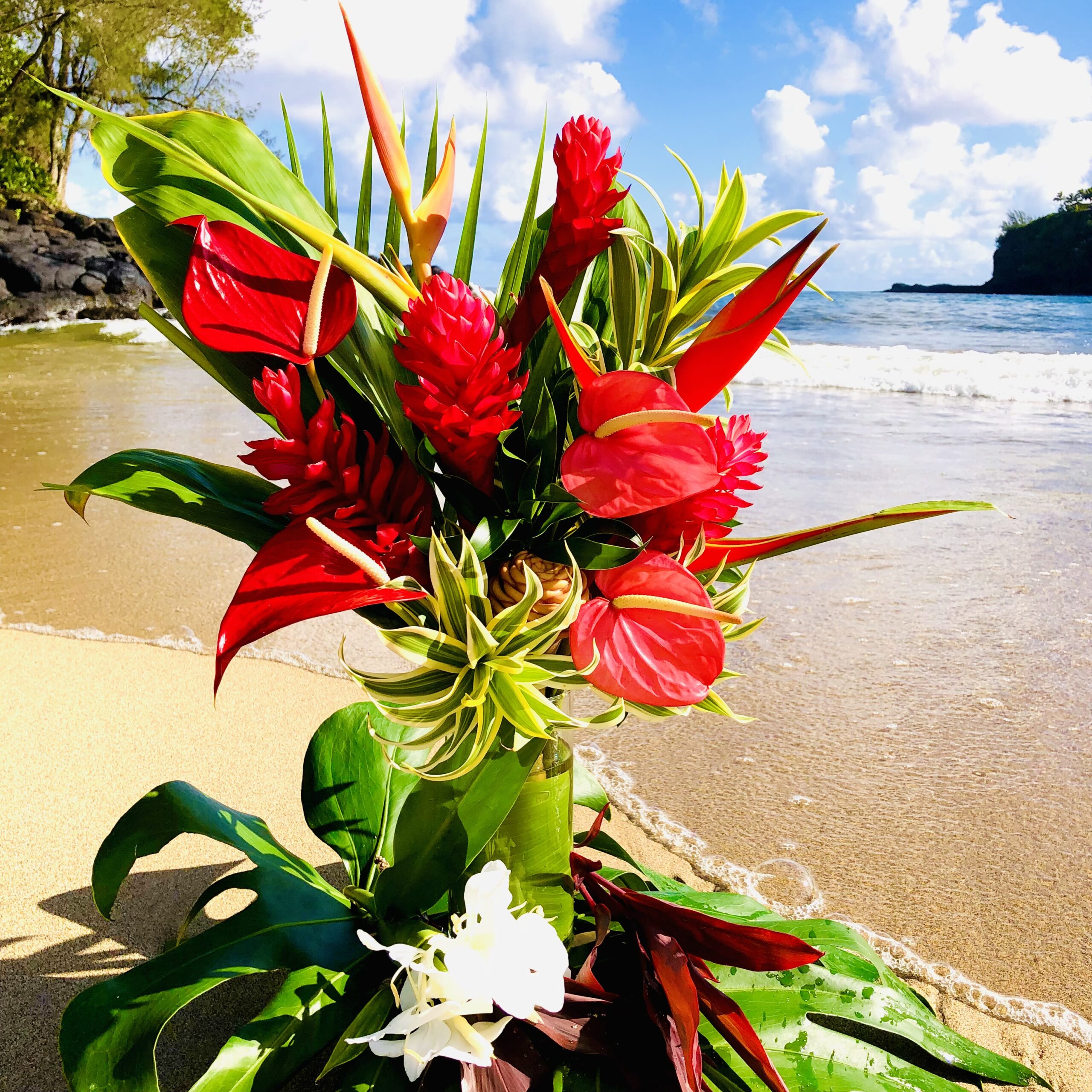 Kauai Select