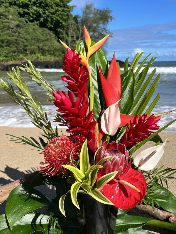 Kaua'i Christmas - Image 4