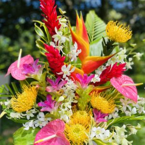 Kaua'i Large Premium
