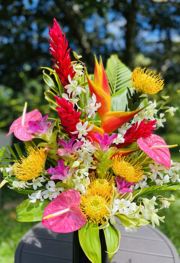 Kaua'i Large Premium