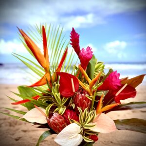 Kaua'i Hurricane Special~Large